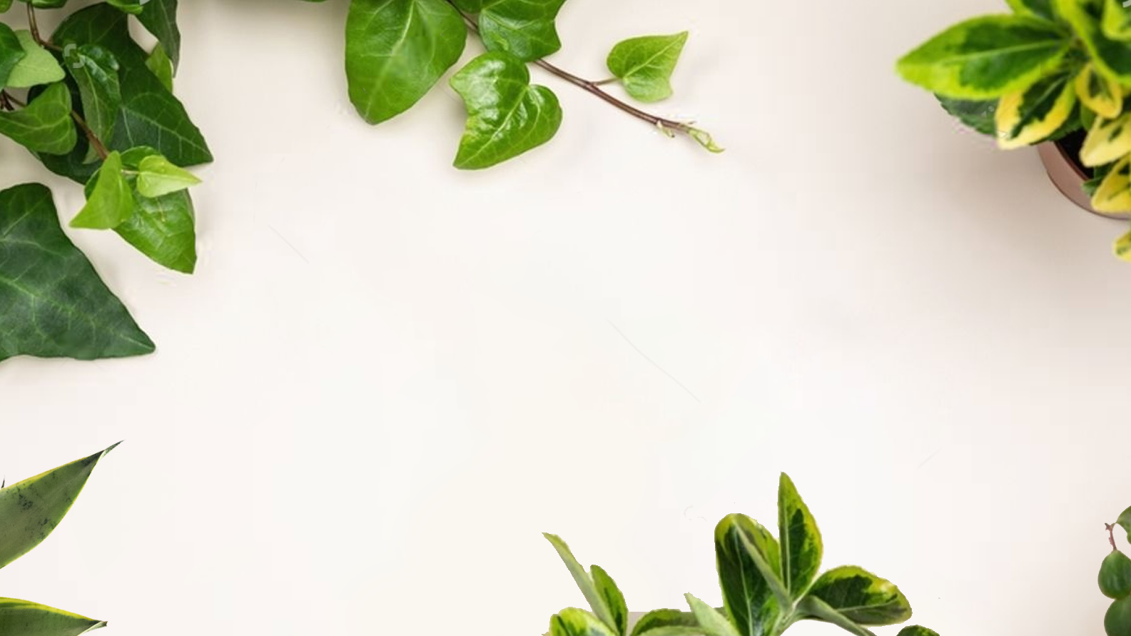 The Ultimate Repotting Guide (for Those Who Can't Keep a Plant Alive...Yet)