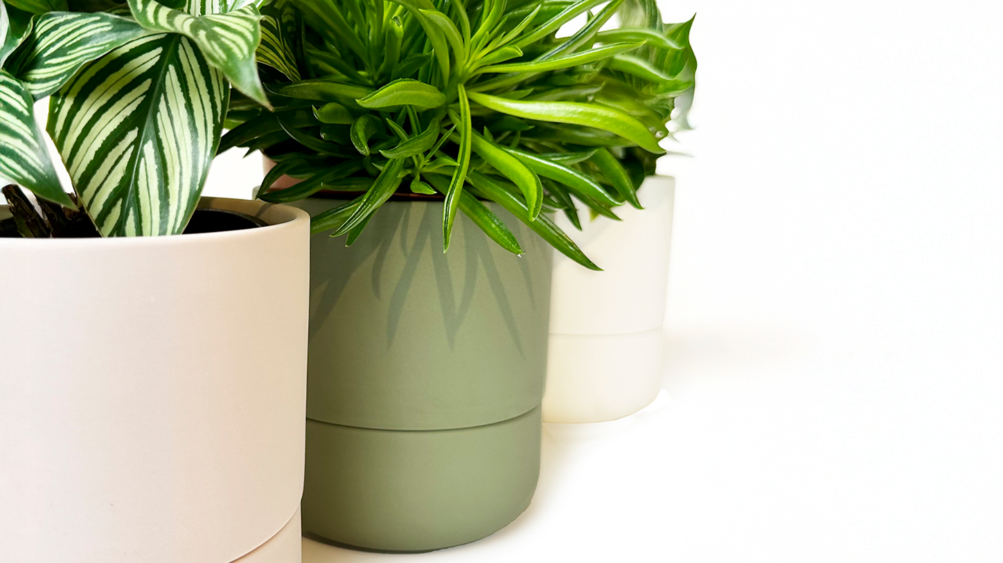 Lineup of 3 Ryan self watering plant pots by chive