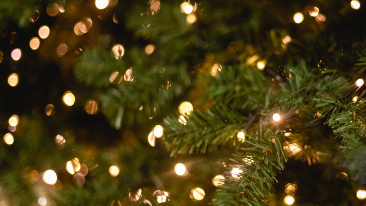 Dog Lover Christmas Ornaments - Pet Holiday Tree Decorations