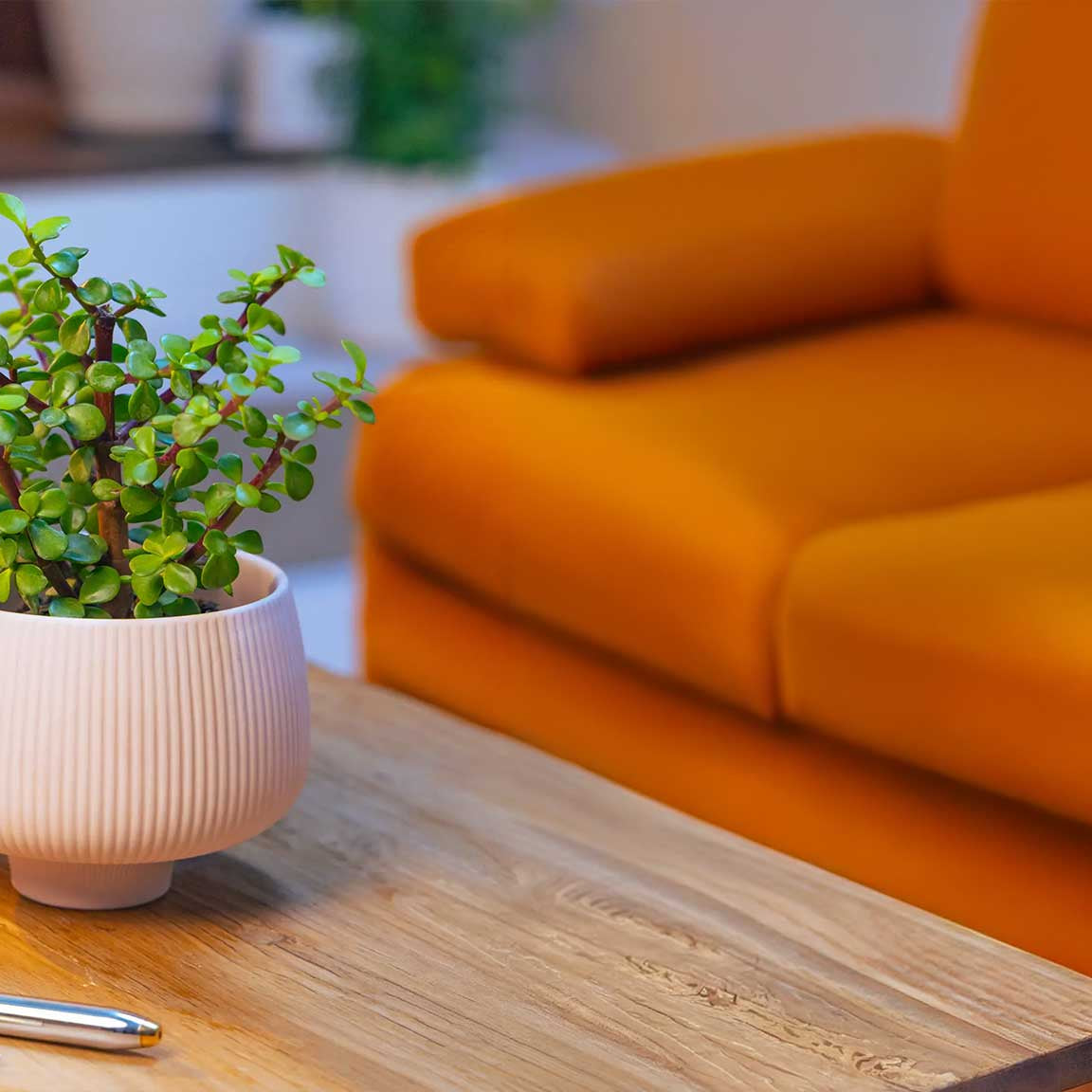 Cache pot in glazed ceramic holding a houseplant — by Chive Studio