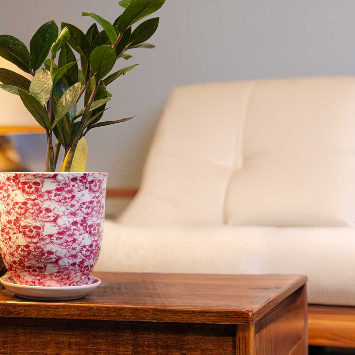 Medium plant pot in glazed ceramic holding a houseplant — by Chive Studio