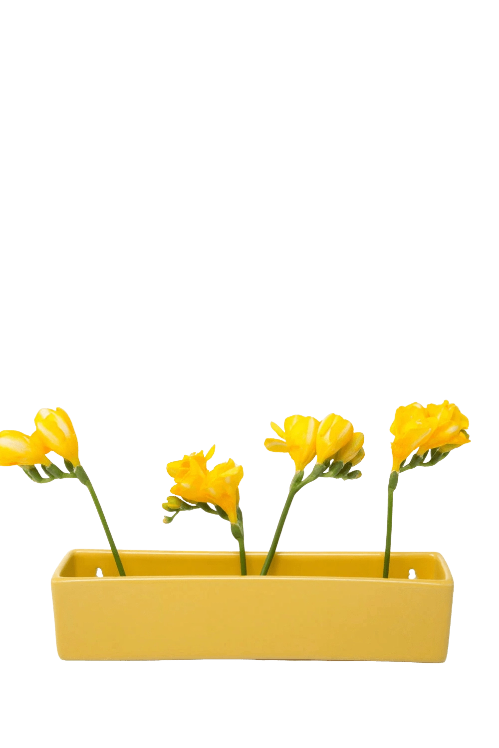 Yellow Ceramic Modern Wall Planter for Succulents - Wall Brick - handmade by Chive Studio Toronto
