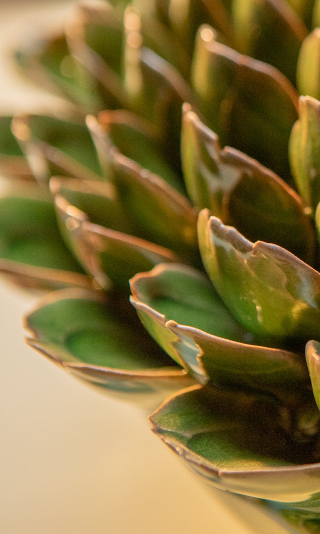 Essex - 7 Piece Curated Set - Chive Ceramics Studio - Ceramic Flower Sets - Chive Ceramics Studio