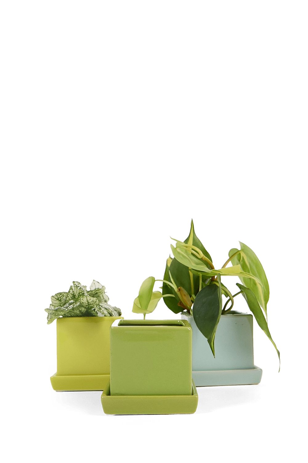 Multicolour Ceramic Pot with Drainage Hole - Cube& Saucer - handmade by Chive Studio Toronto