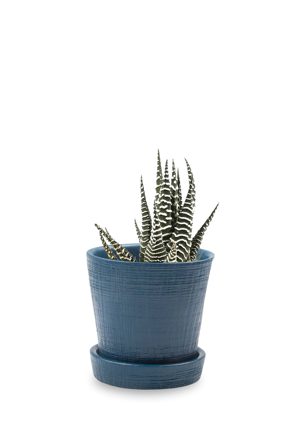 Azure Ceramic Pot and Saucer Set with drainage - Mick - handmade by Chive Studio Toronto