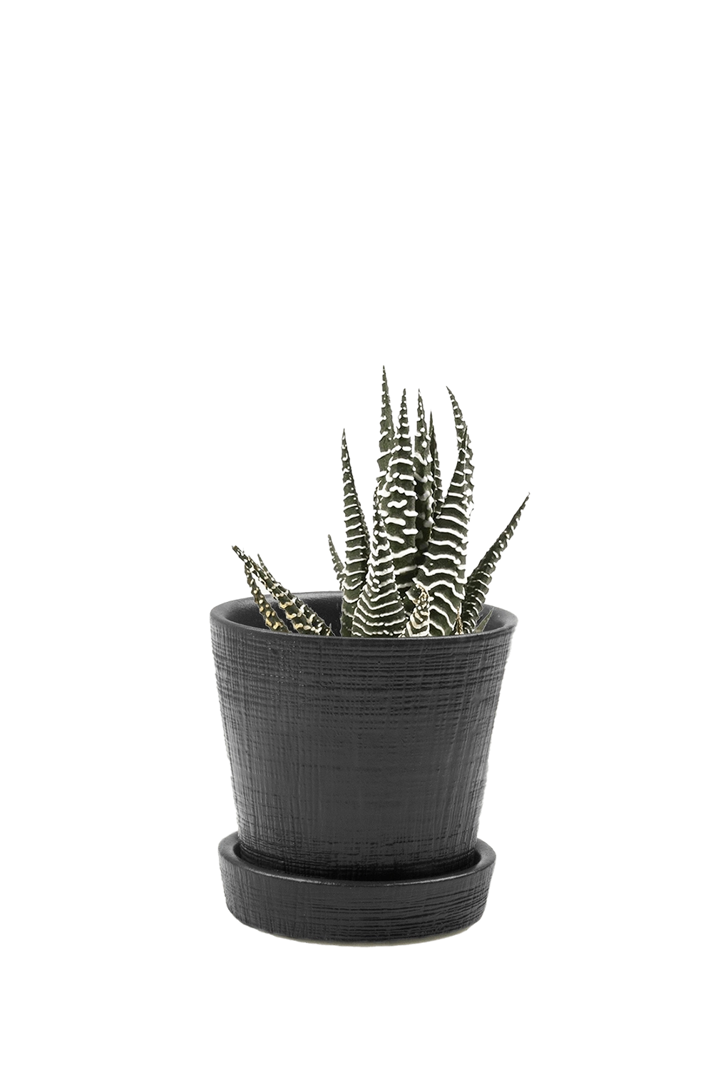Black Ceramic Pot and Saucer Set with Drainage - Mick - handmade by Chive Studio Toronto