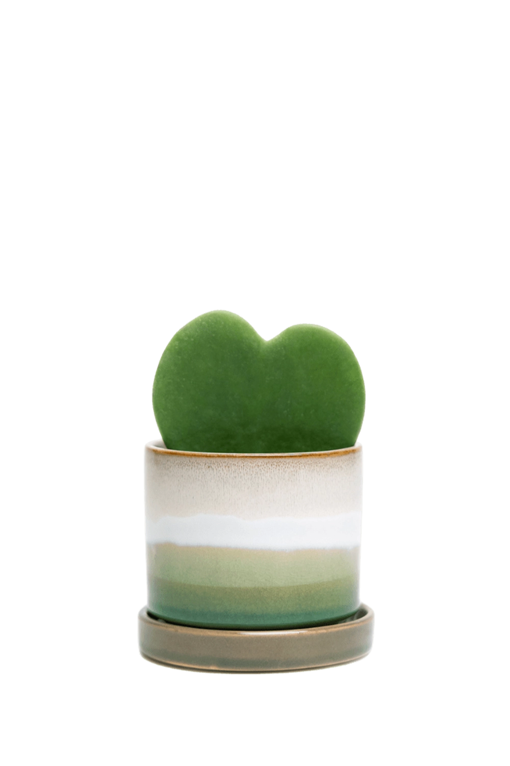 Green Layers Small Ceramic Pot with drainage Hole and Saucer - Minute - handmade by Chive Studio Toronto