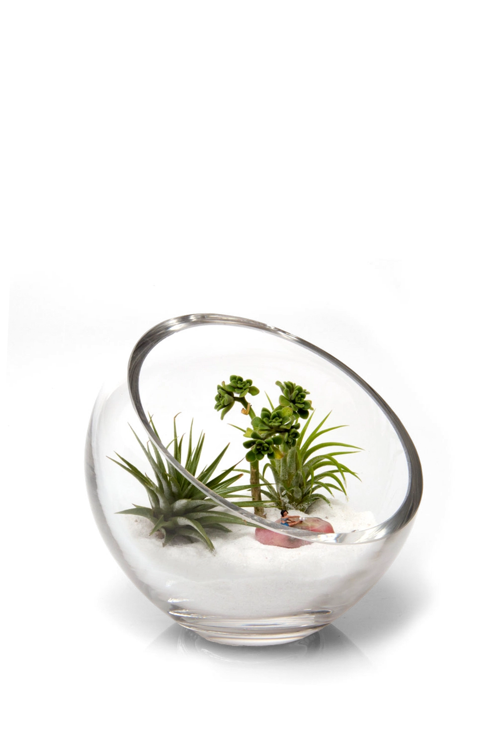 Clear Bowl Glass Succulent Garden - Terrarium - handmade by Chive Studio Toronto