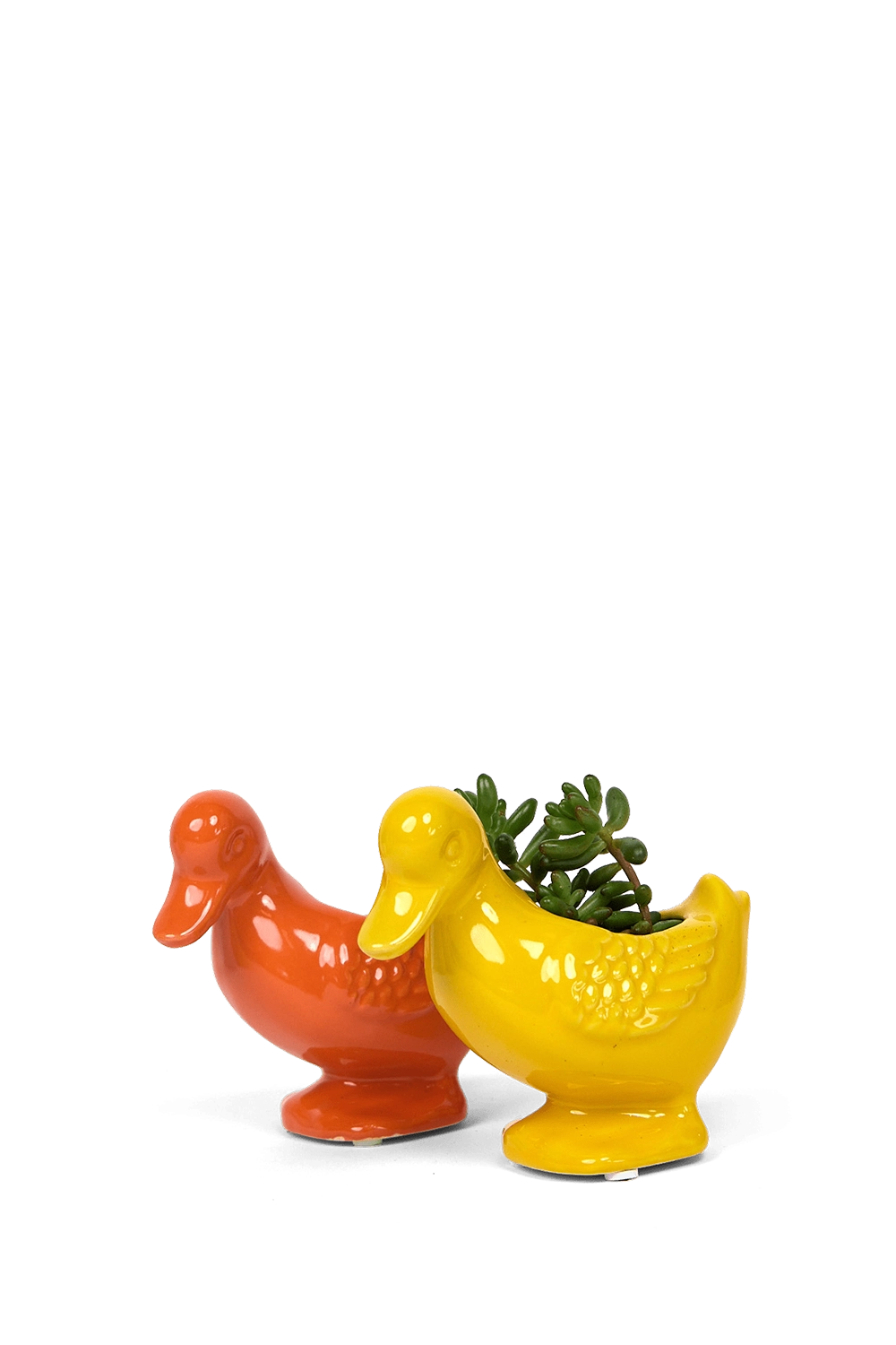 Multicolour Ceramic Indoor Plant Pot for Succulents - Duck - handmade by Chive Studio Toronto