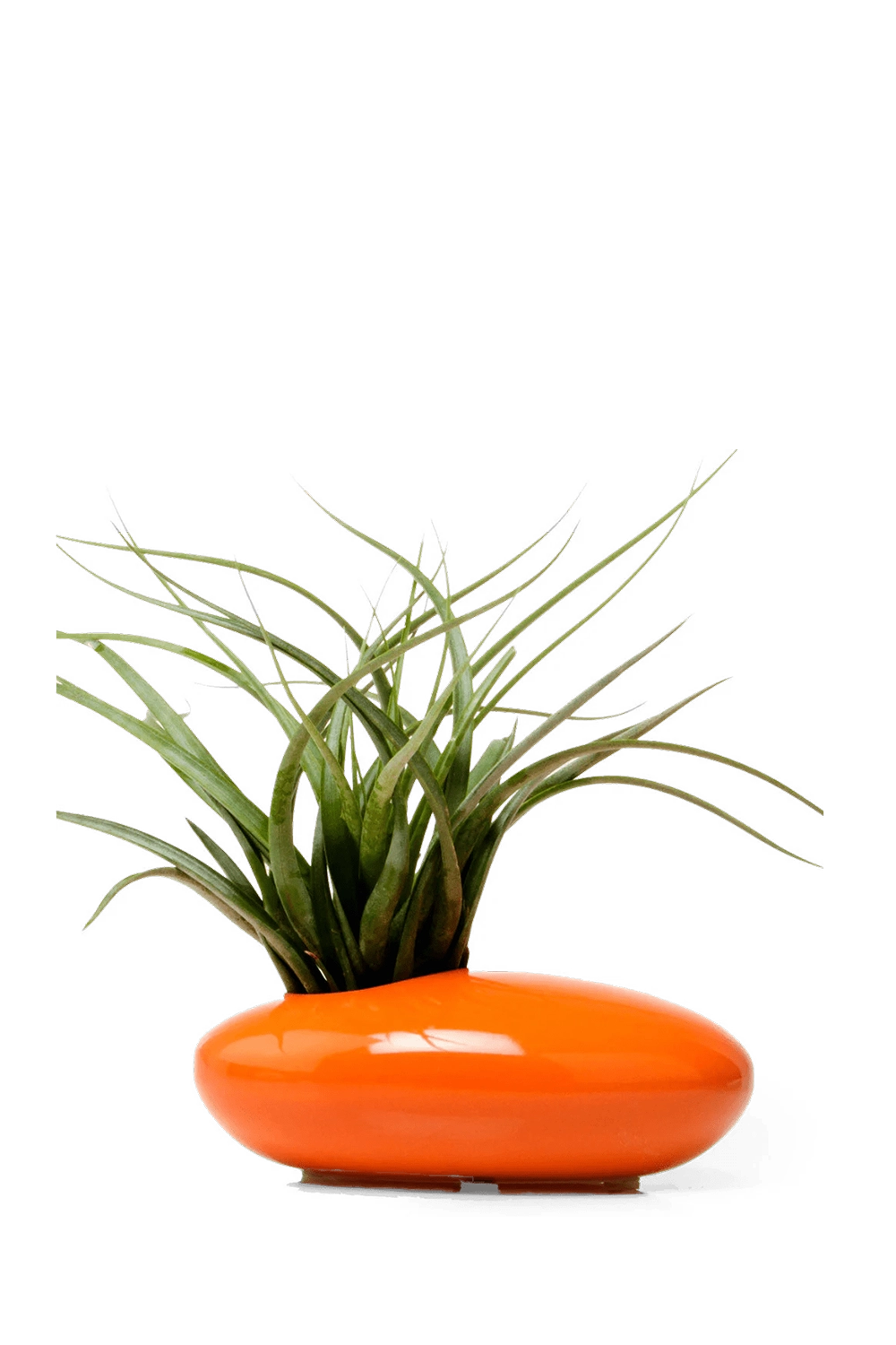 Orange Ceramic Ikebana Kenzan Container - Pebble - designed by Chive Studio Toronto