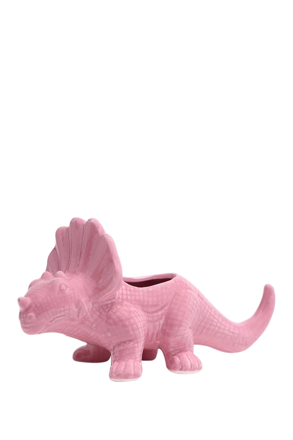 Nose Gay Ceramic Indoor Plant Pot for Succulents - Triceratops - handmade by Chive Studio Toronto