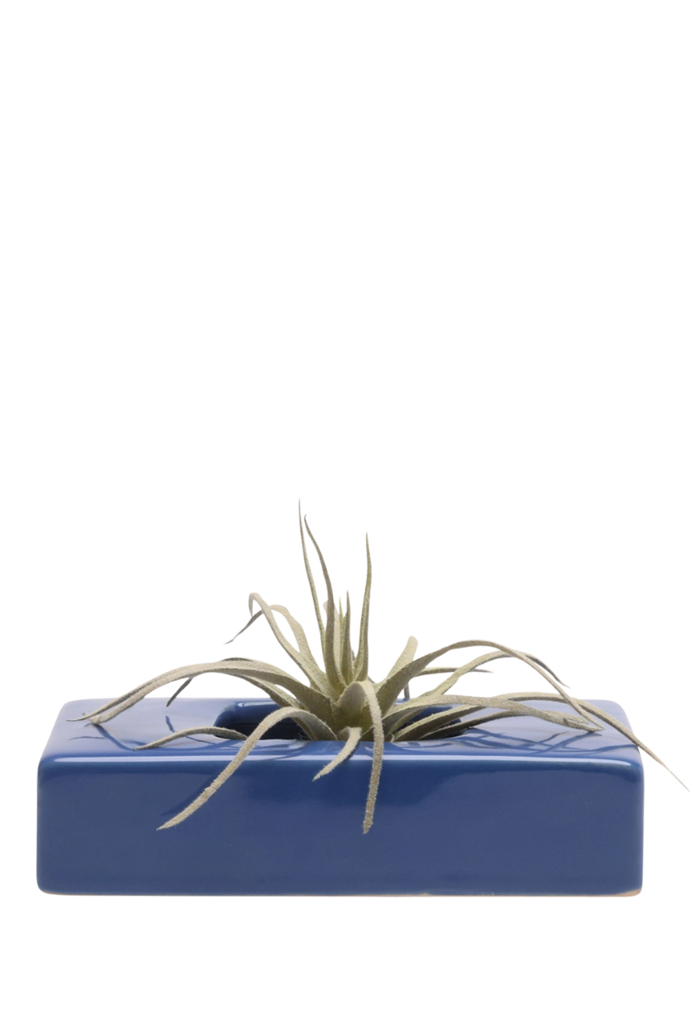 Cobalt Ceramic Dish for Ikebana Kenzans - Swayzak - handmade by Chive Studio Toronto