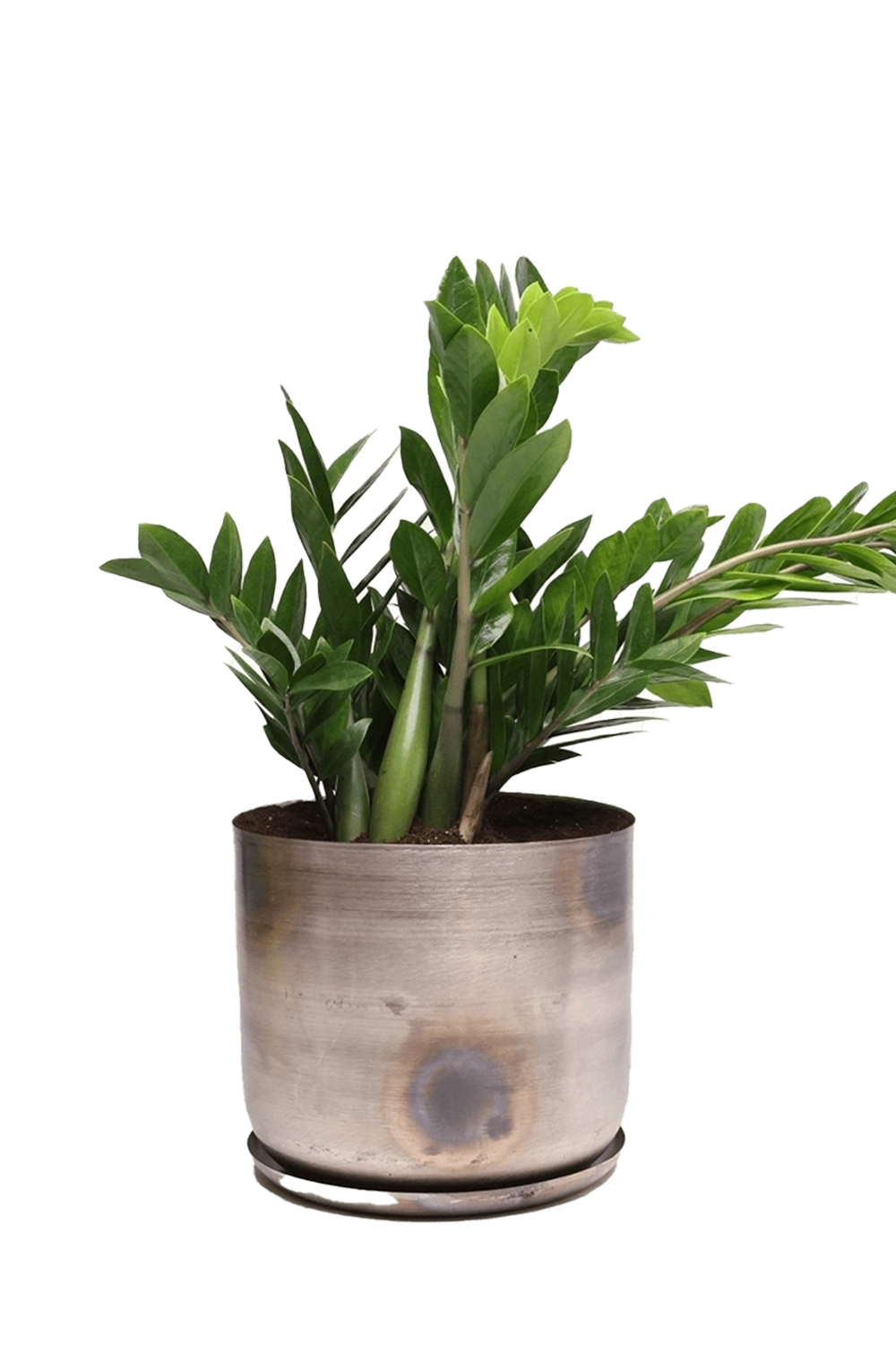 Silver Large Metal pot with Drainage Hole - Joe - handmade by Chive Studio Toronto