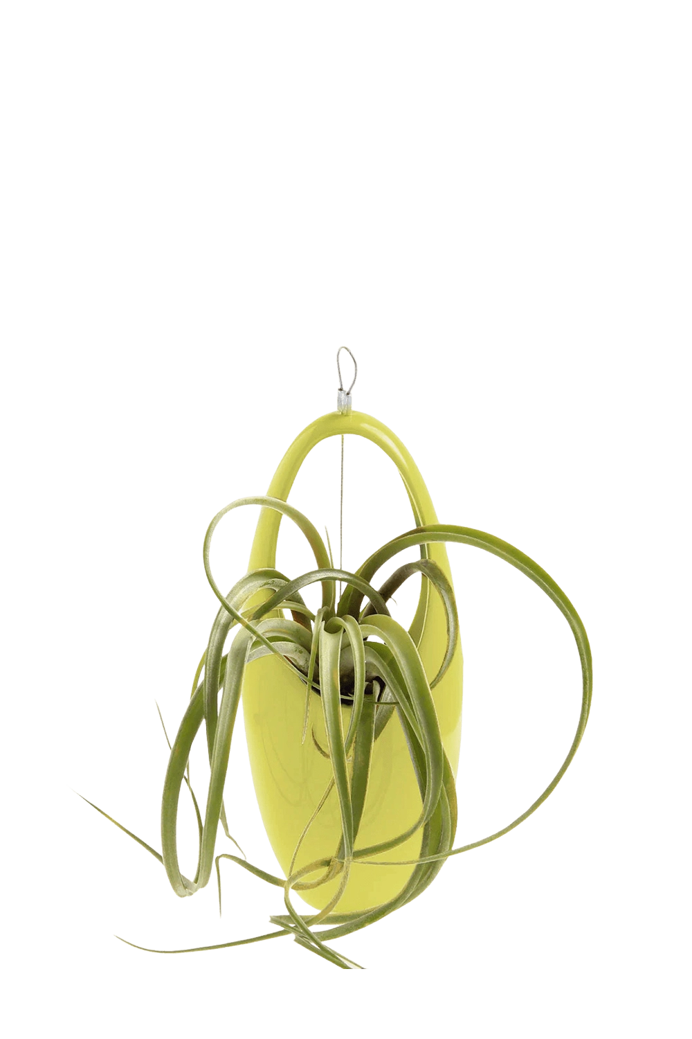 Green Sheen Ceramic for Succulents & Ikebana - Hanging Aerium - designed by Chive Studio Toronto