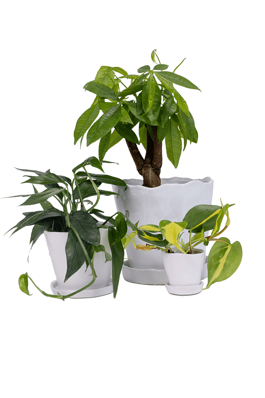 Tika Ceramic Pot & Saucer Set With Drainage - Chive Ceramics Studio - Pots - Chive Ceramics Studio