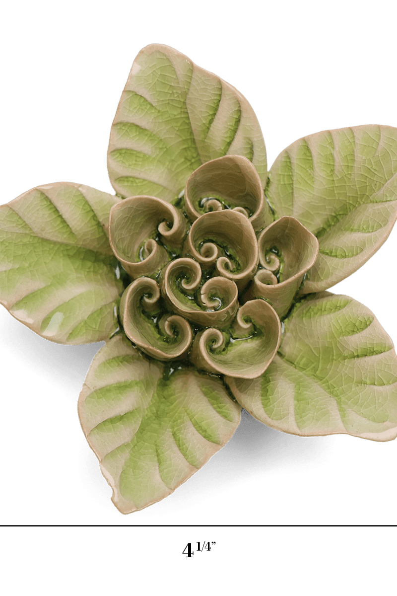 EG18 Peridot Green Maiden Lotus - Chive US Wholesale