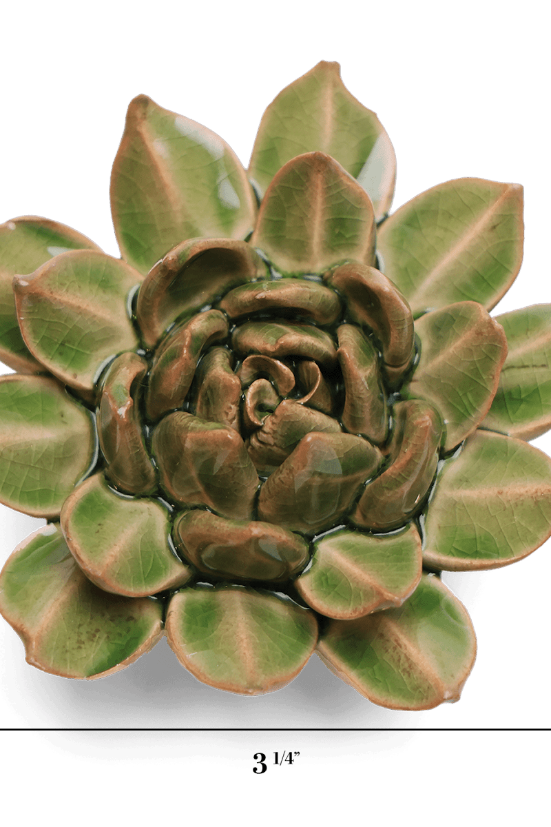 EG12 Avocado Green Firecracker Succulent - Chive US Wholesale