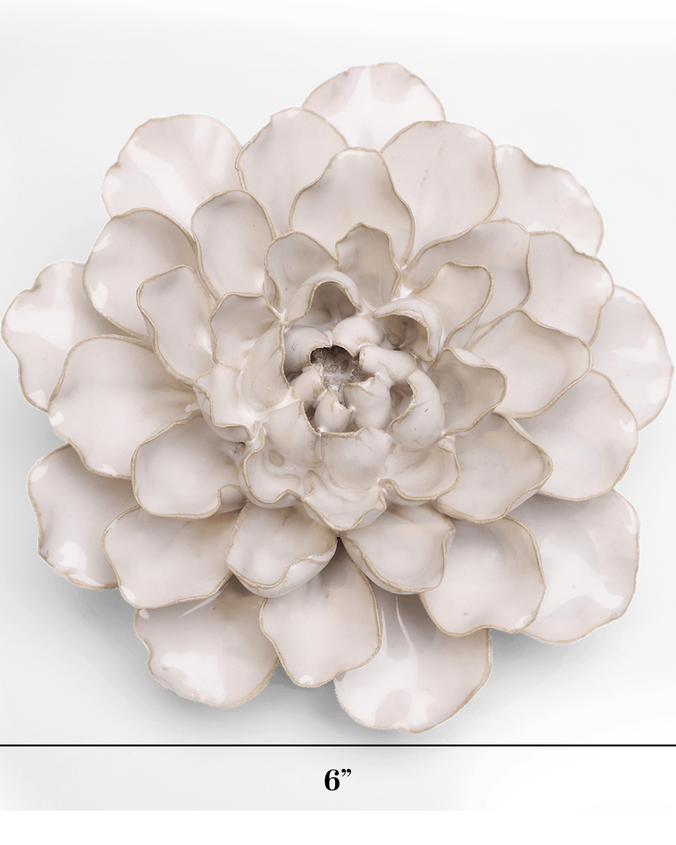 EG15 Ivory European Water Lily - Chive US Wholesale