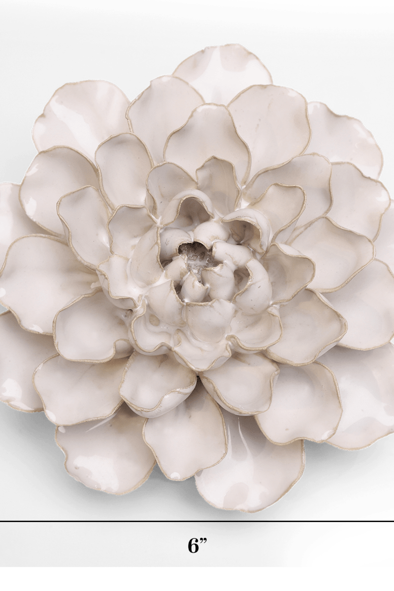 EG15 Ivory European Water Lily - Chive US Wholesale