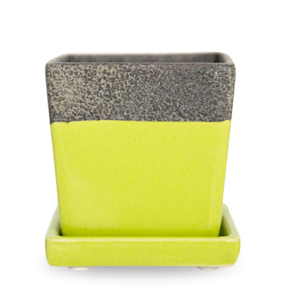 Chive Duo chartreuse ceramic pot with drainage and detachable saucer.