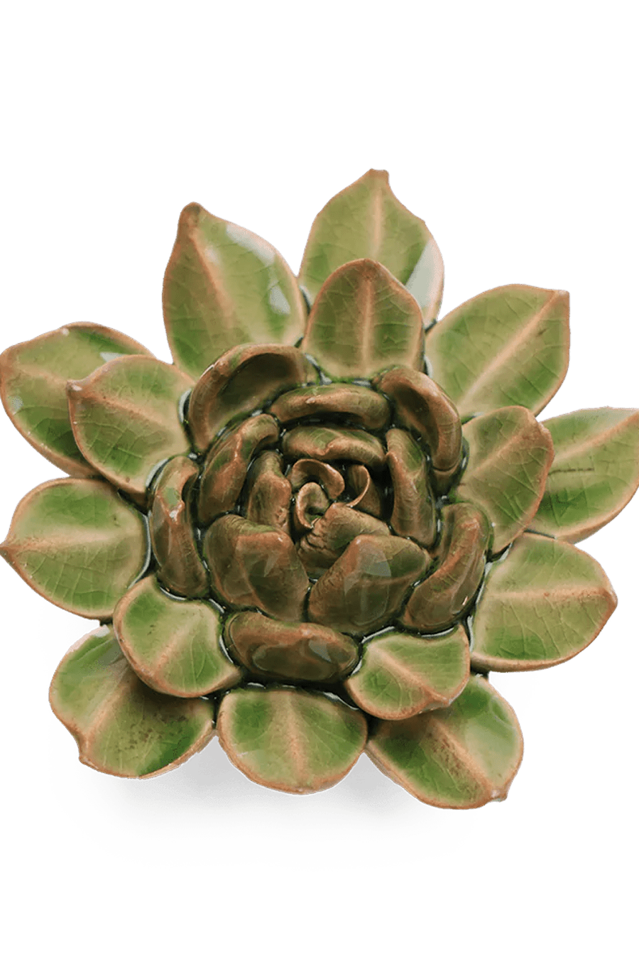 EG12 Avocado Green Firecracker Succulent - Chive Ceramics Studio - Ceramic Flowers - Chive Ceramics Studio