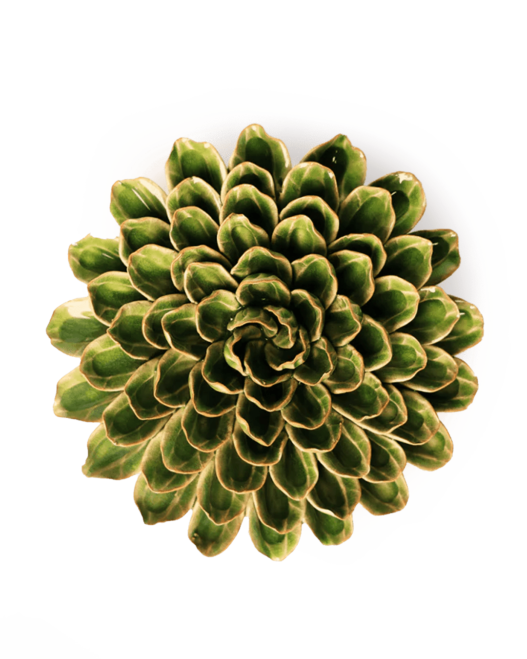 EG20 Avocado Green Unicorn Zinnia - Chive Ceramics Studio - Ceramic Flowers - Chive Ceramics Studio
