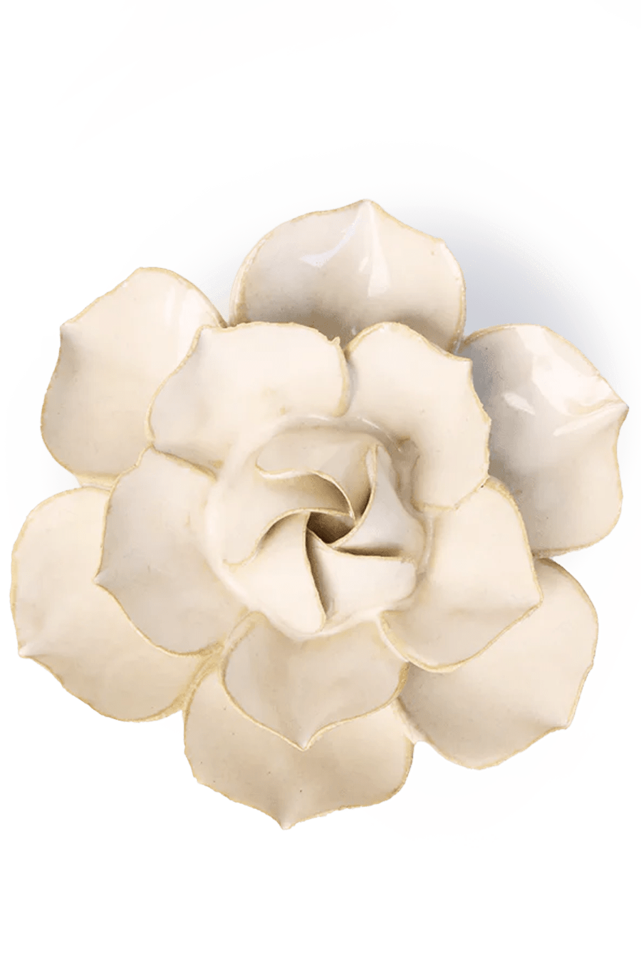 EG34 Ivory Daffodil - Chive Ceramics Studio - Ceramic Flowers - Chive Ceramics Studio