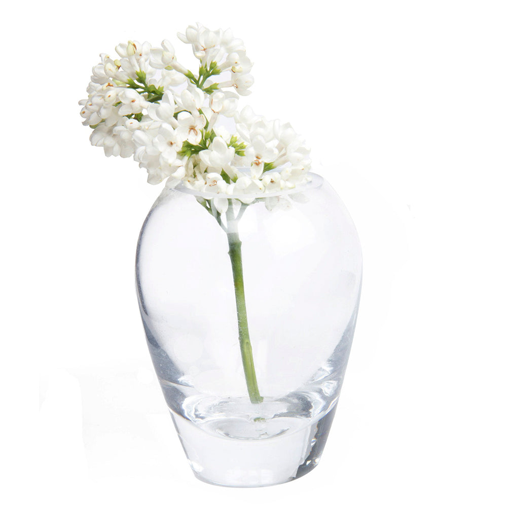 A single white lilac stem with small blooms is placed in a George Glass Clear Bud Vase For Flowers, set against a plain white background.