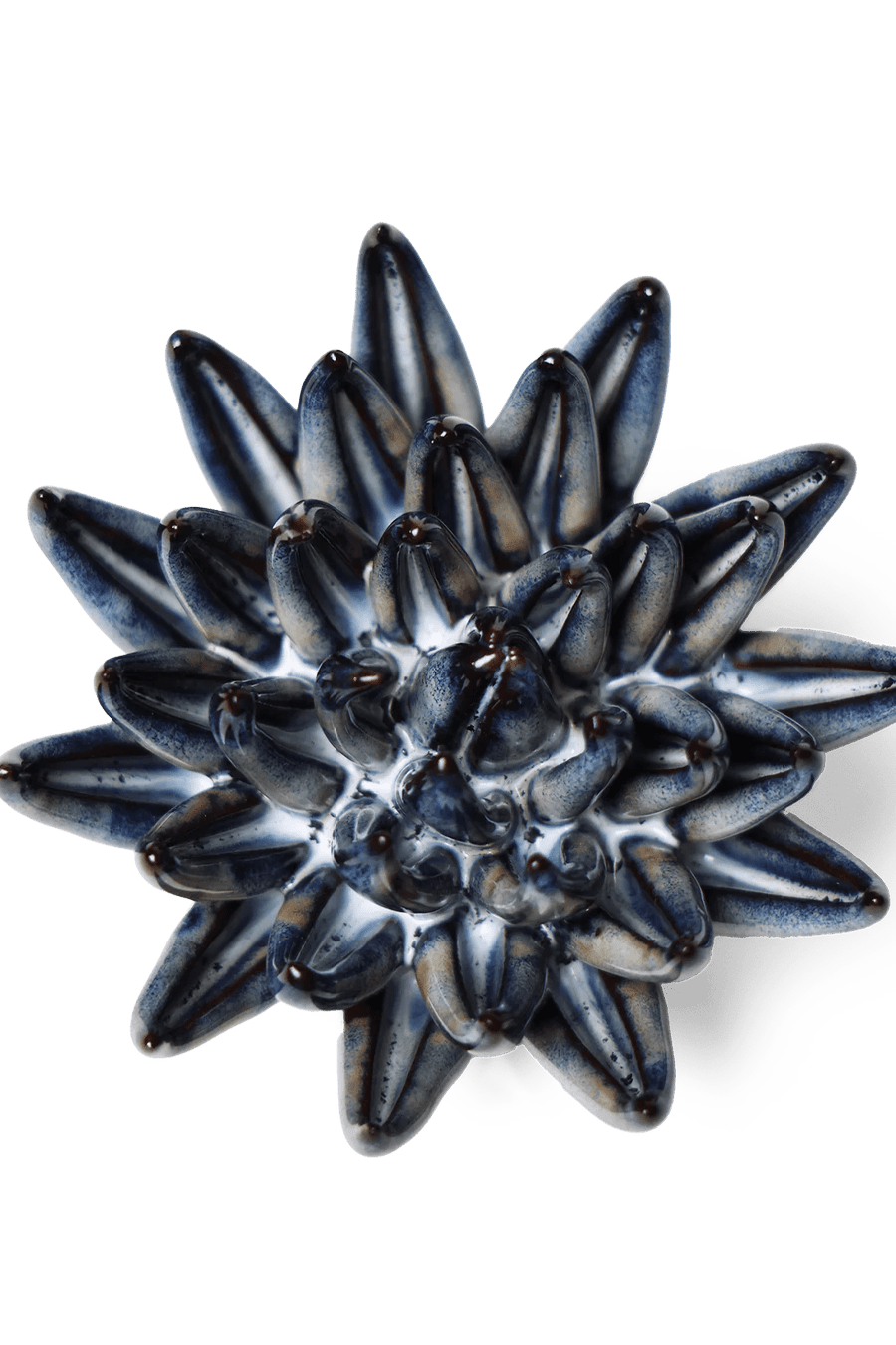 JA16 Navy Blue Chalksticks Succulent - Chive Ceramics Studio - Ceramic Flowers - Chive Ceramics Studio