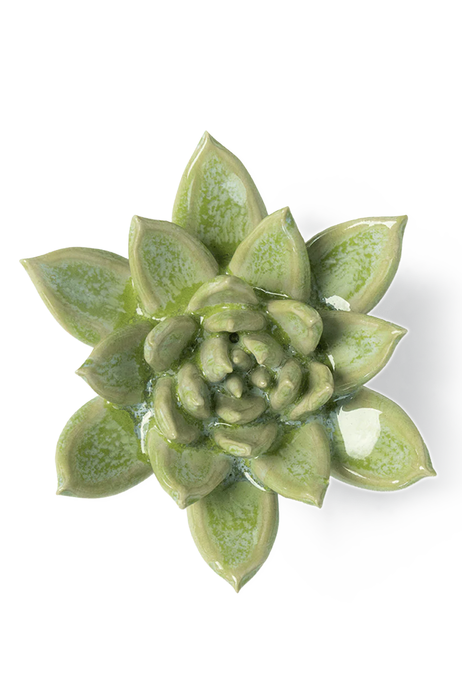 Japan Ceramic Flower Green Succulent - Chive Ceramics Studio - Ceramic Flowers - Chive US