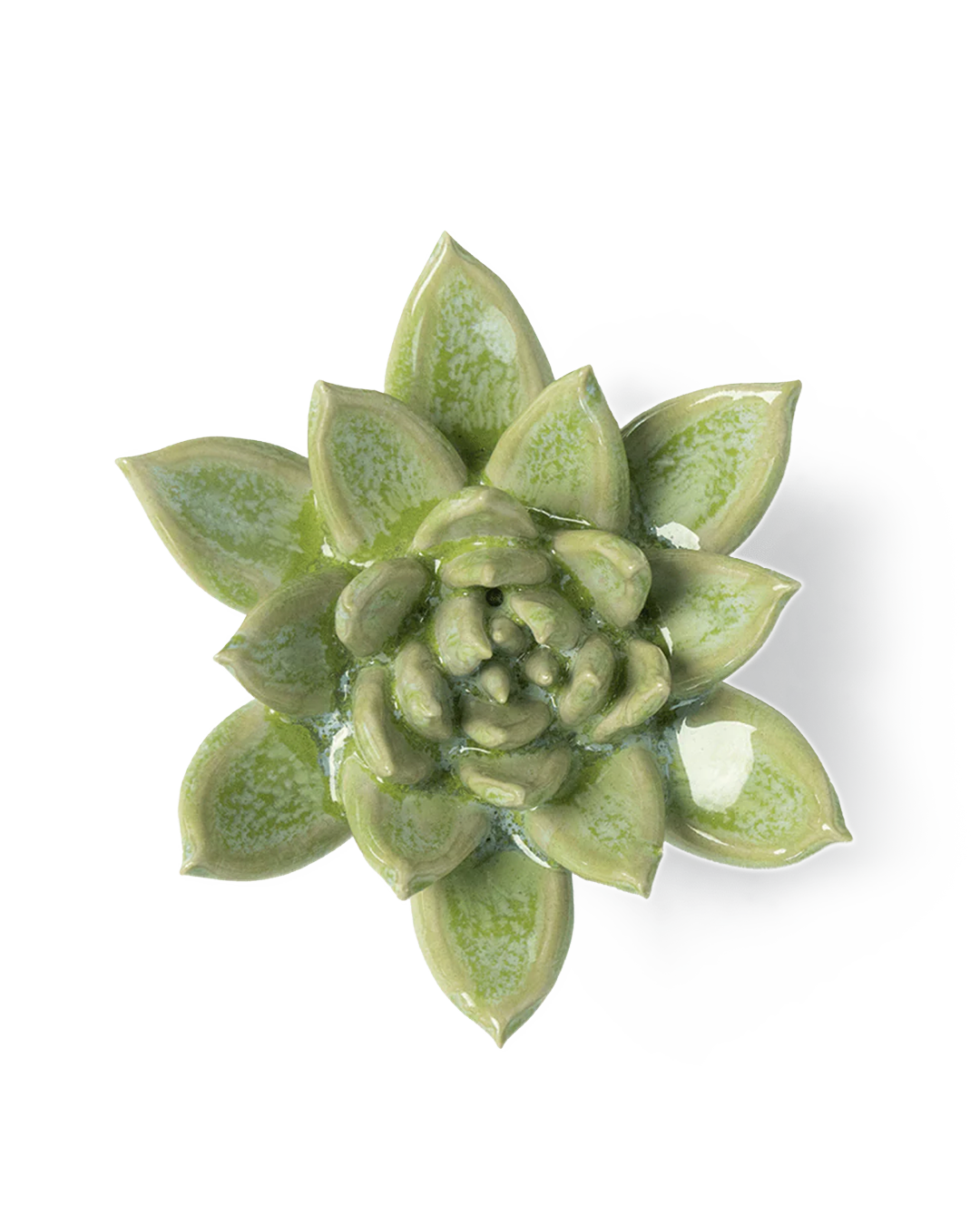 Japan Ceramic Flower Green Succulent - Chive Ceramics Studio - Ceramic Flowers - Chive US