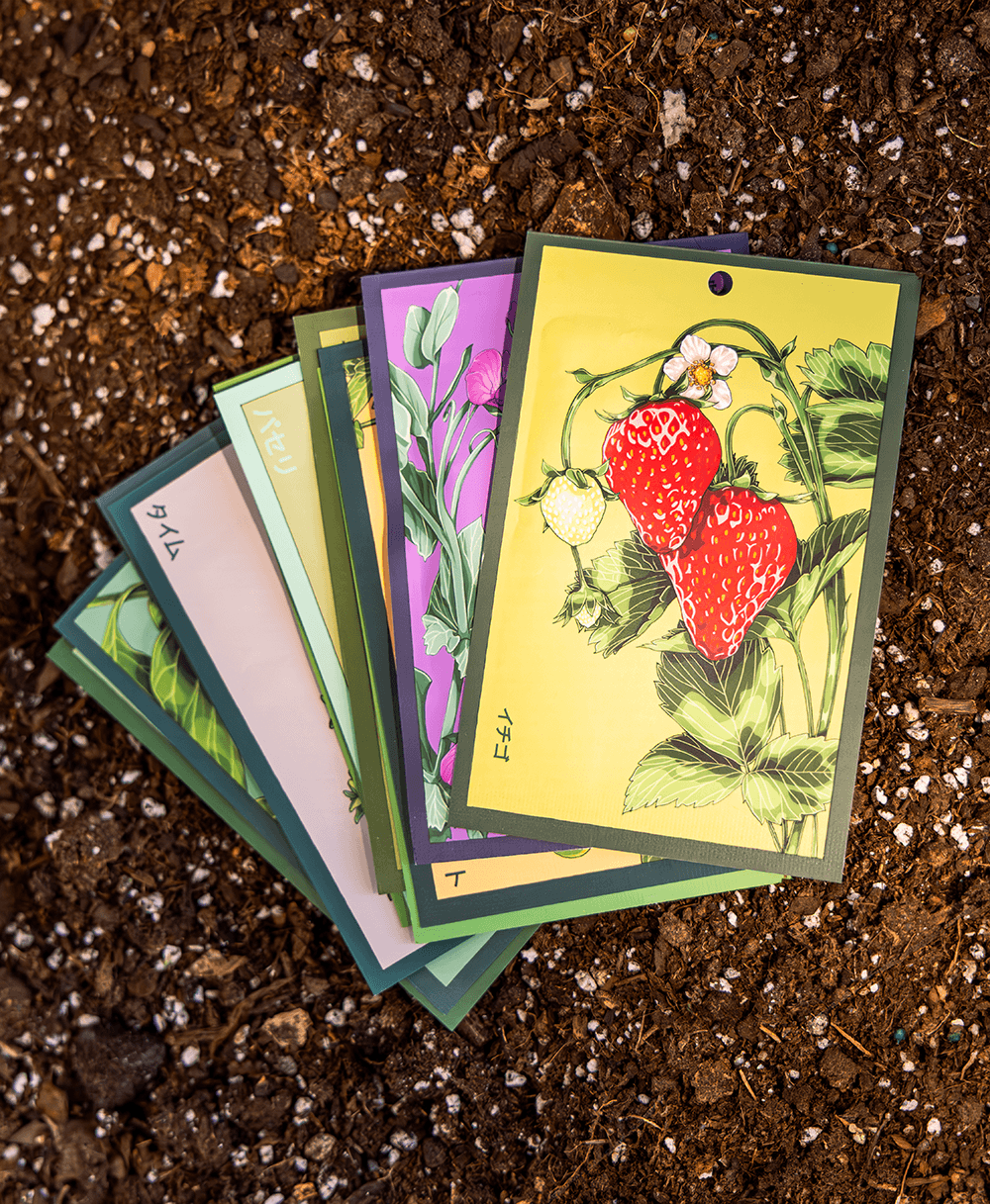 Set of Chive Shido Seeds packets with fruit and flower illustrations on a soil background.