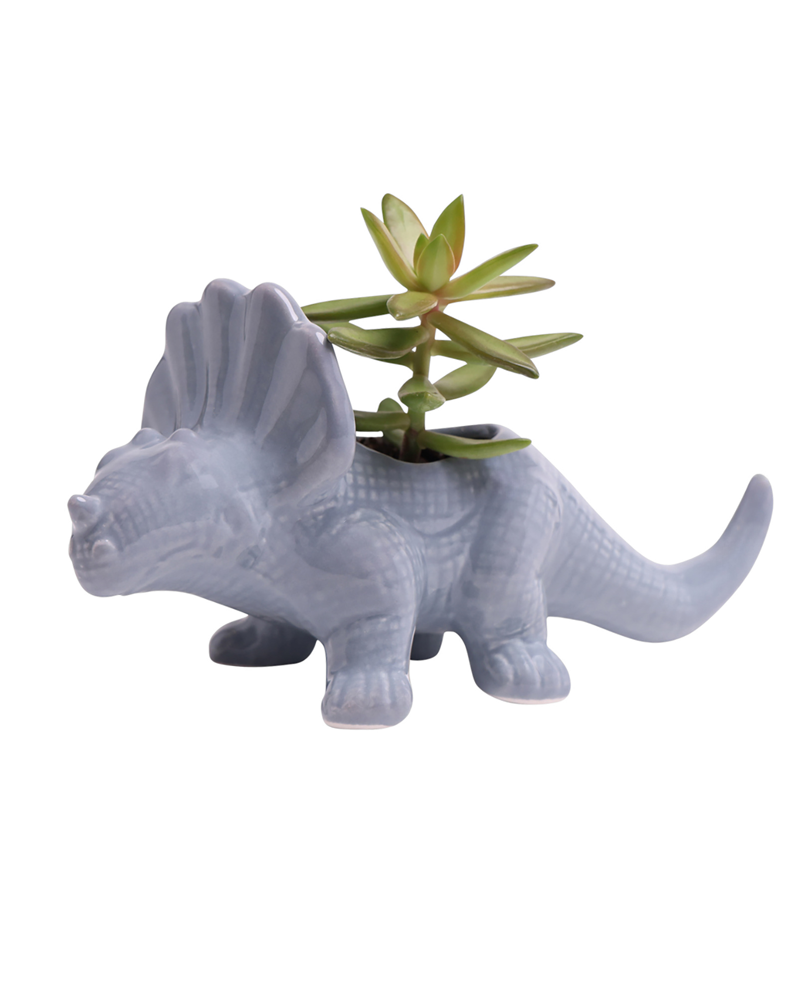 Triceratops Ceramic Indoor Plant Pot for Succulents