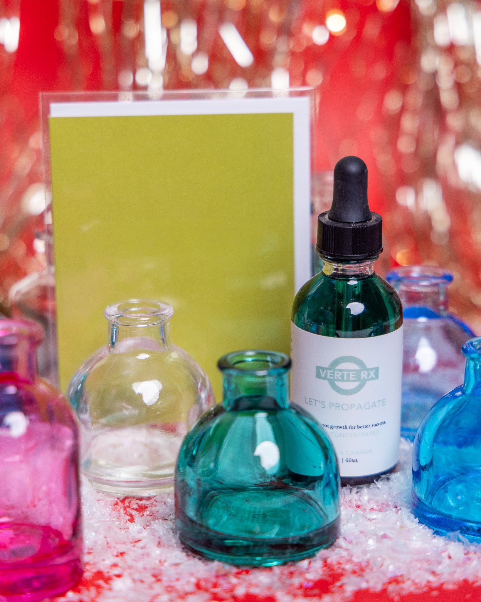 For the Plant Person Who Treats Cuttings Like Currency - Chive Ceramics Studio - Chive Ceramics Studio