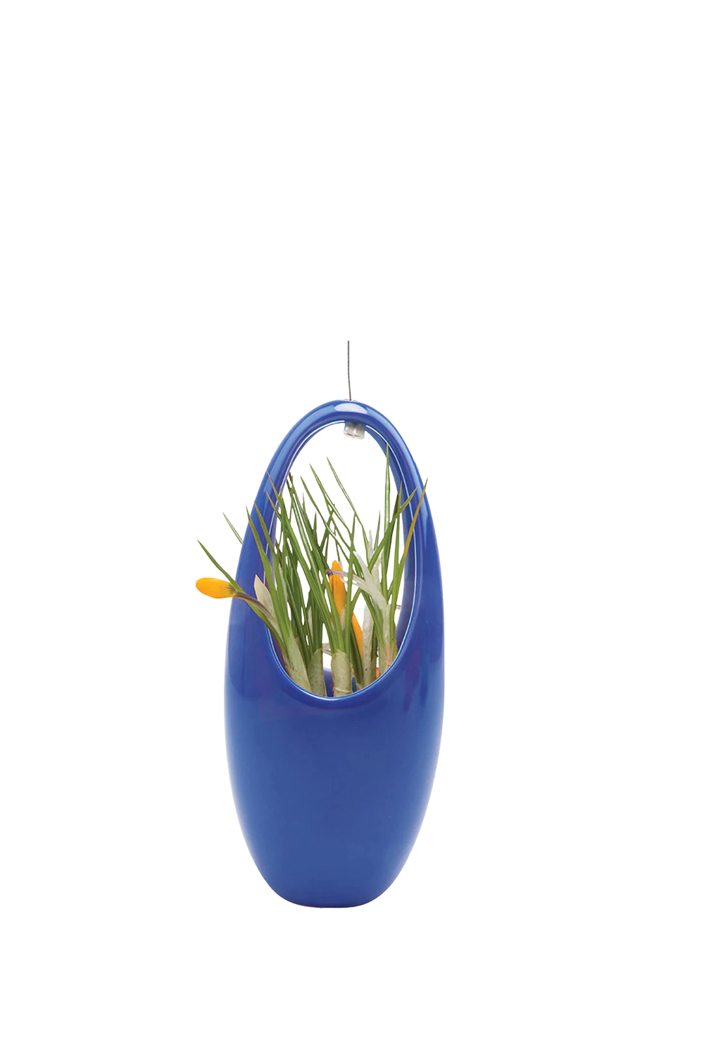 Imperial Blue Ceramic for Succulents & Ikebana - Hanging Aerium - handmade by Chive Studio Toronto