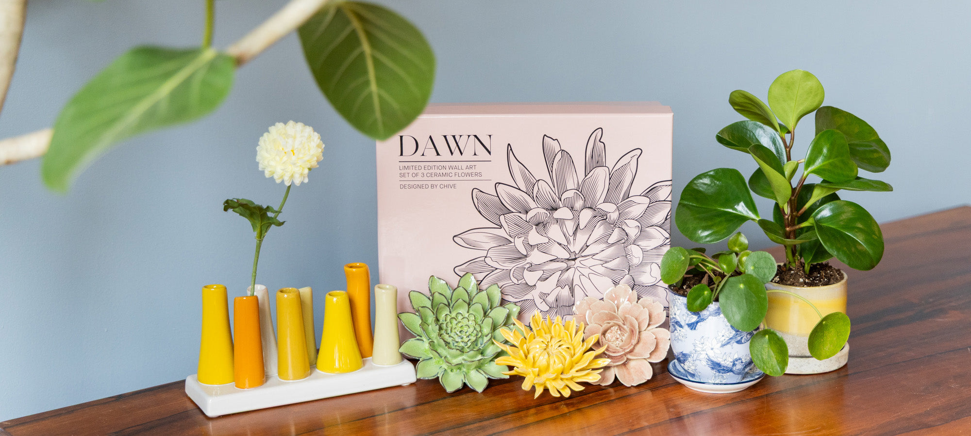 Mother's Day Gift Ideas: Objects that might survive her passive-aggressive spring cleaning.