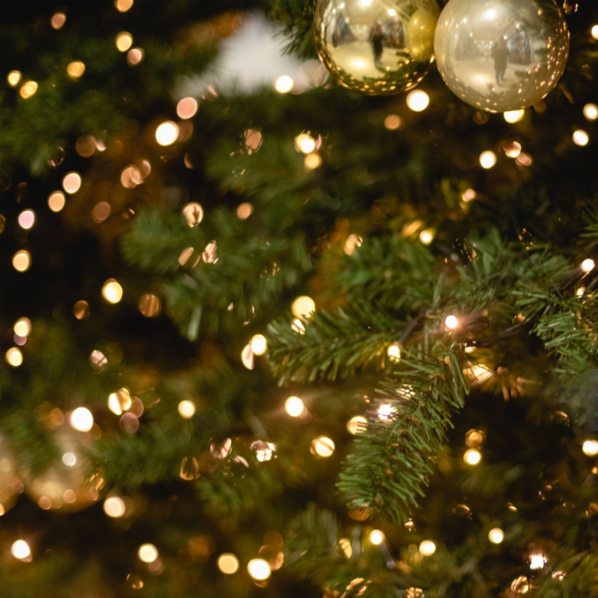 Dog Lover Christmas Ornaments - Pet Holiday Tree Decorations