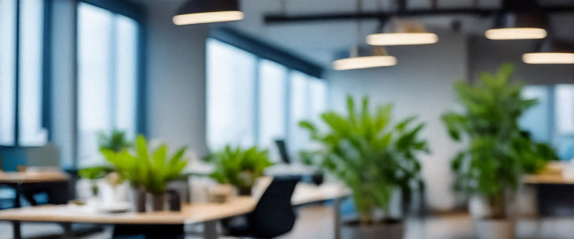 Large Plants for the Office