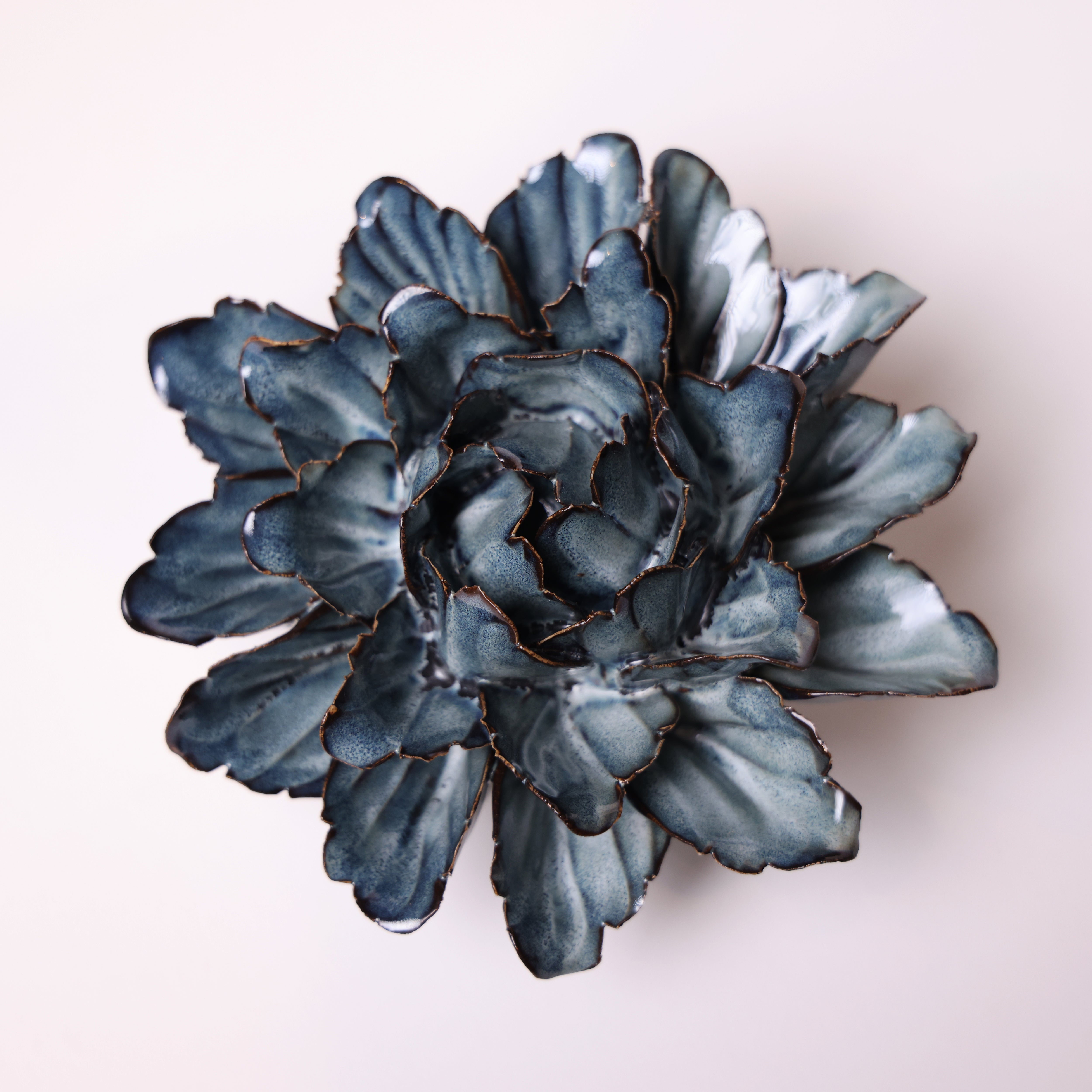 A top view of a dark blue succulent with tips painted in a light pink color, staged against a soft pink background.