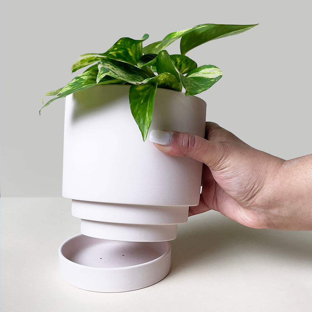 A hand holding a modern, minimalist white planter with a lush green plant. The planter features a detachable base, slightly separated, displaying an innovative self-watering design. Light gray background.