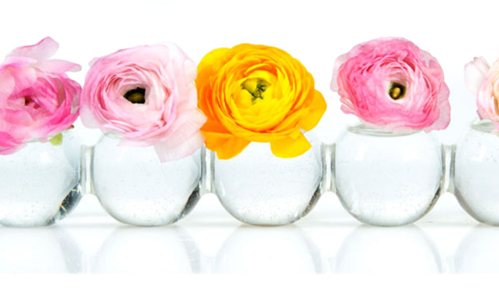 A row of small glass vases, each holding a single vibrant flower. From left to right: pink, pink, yellow, pink, and pink blooms are displayed against a clean white background.