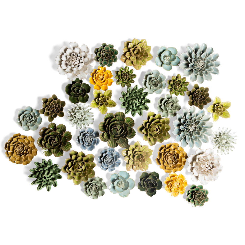 A collection of various succulent plants in different shades of green, yellow, and white, arranged closely together on a white background. The succulents differ in shapes and sizes, forming an appealing pattern.