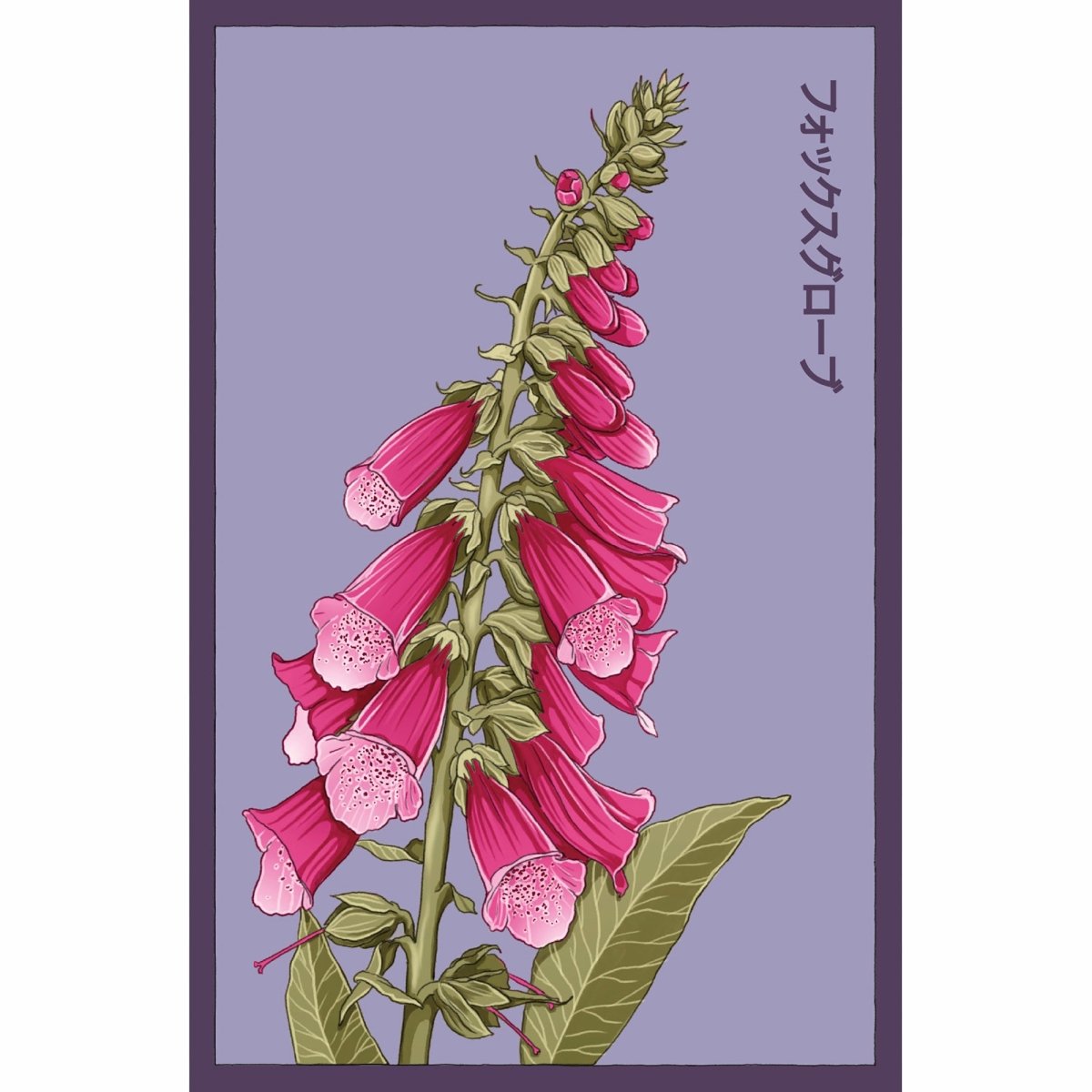 Illustration of a tall pink foxglove plant with bell-shaped flowers and green leaves on a purple background, featuring stylized symbols or text along the right edge.