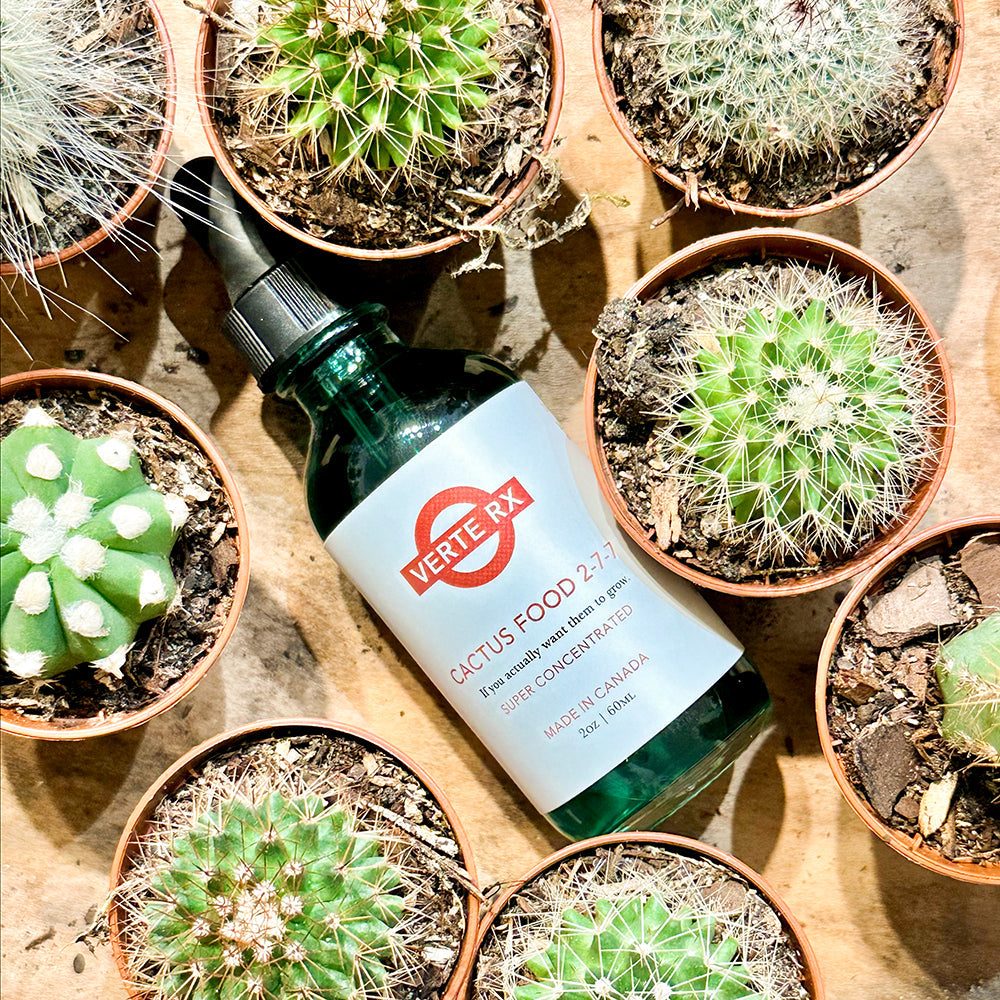 A bottle labeled "Verte RX Cactus Food 2-7-7" is surrounded by various small cacti in pots, arranged on a wooden surface. The cacti vary in shape and size, creating a vibrant and textured display.