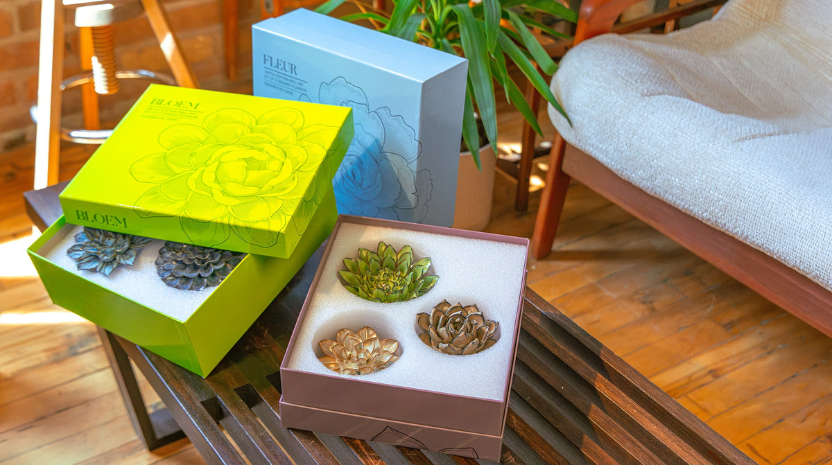 Ceramic flower gift box set of three handmade wall flowers — designed in Toronto by Chive Studio