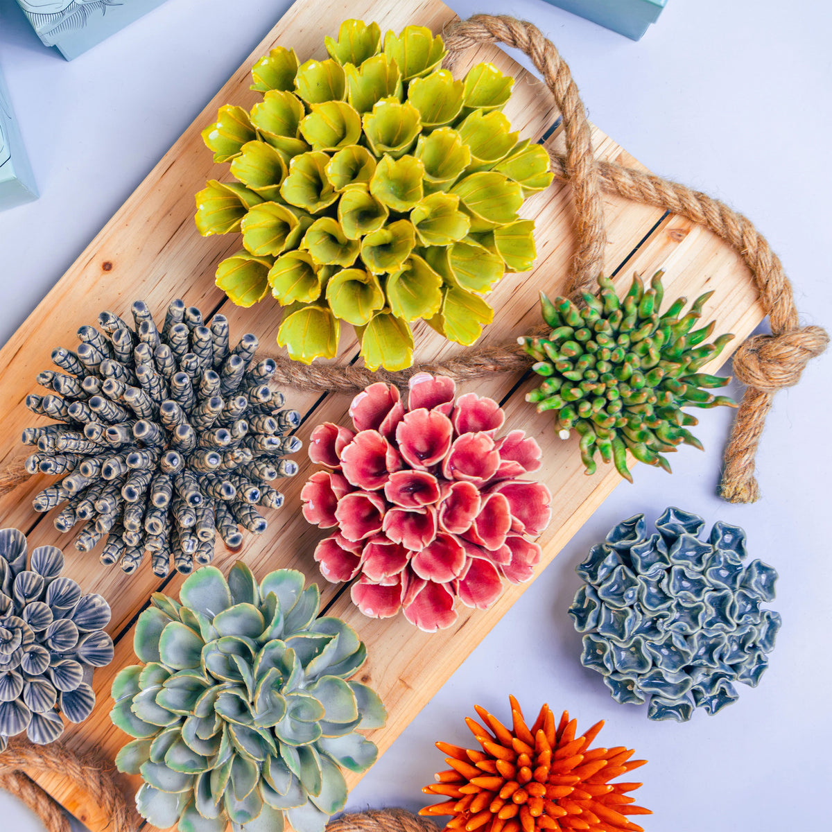 Coral Collection — Ceramic Wall Art
