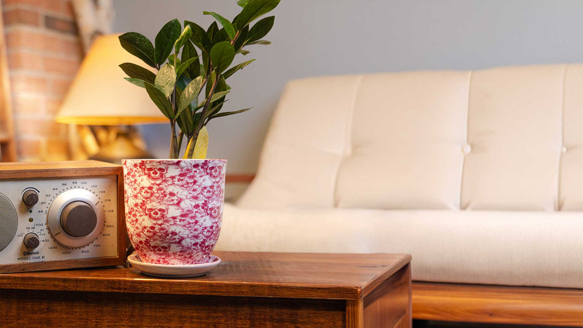 Medium plant pot in glazed ceramic holding a houseplant — by Chive Studio