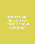 Here’s a plant. Thought you could use some excitement. - Greeting Card - Chive Ceramics Studio - Cards - Chive Ceramics Studio