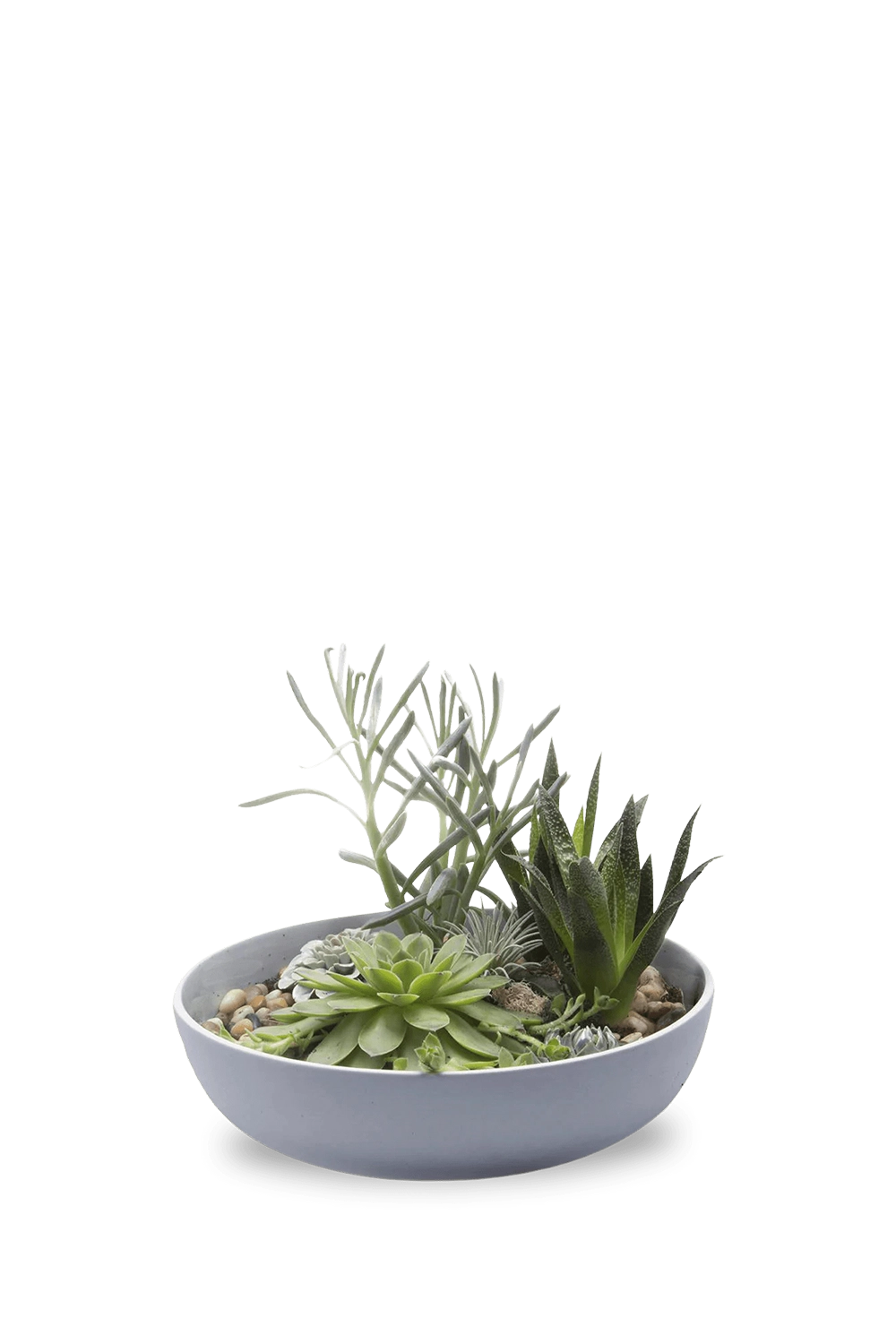 Blue Grey Porcelain Succulent Garden Dish - Moog - handmade by Chive Studio Toronto