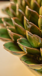 Essex - 7 Piece Curated Set - Chive Ceramics Studio - Ceramic Flower Sets - Chive Ceramics Studio